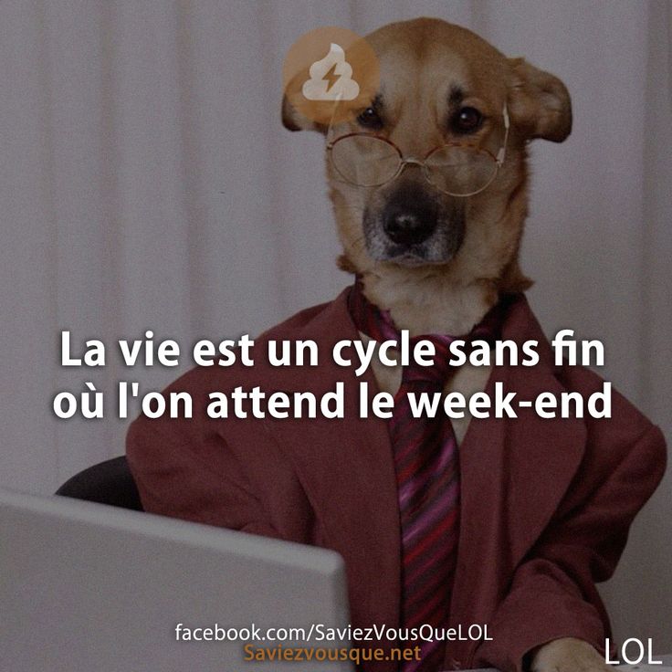 La vie est un cycle sans fin où l'on attend le week-end