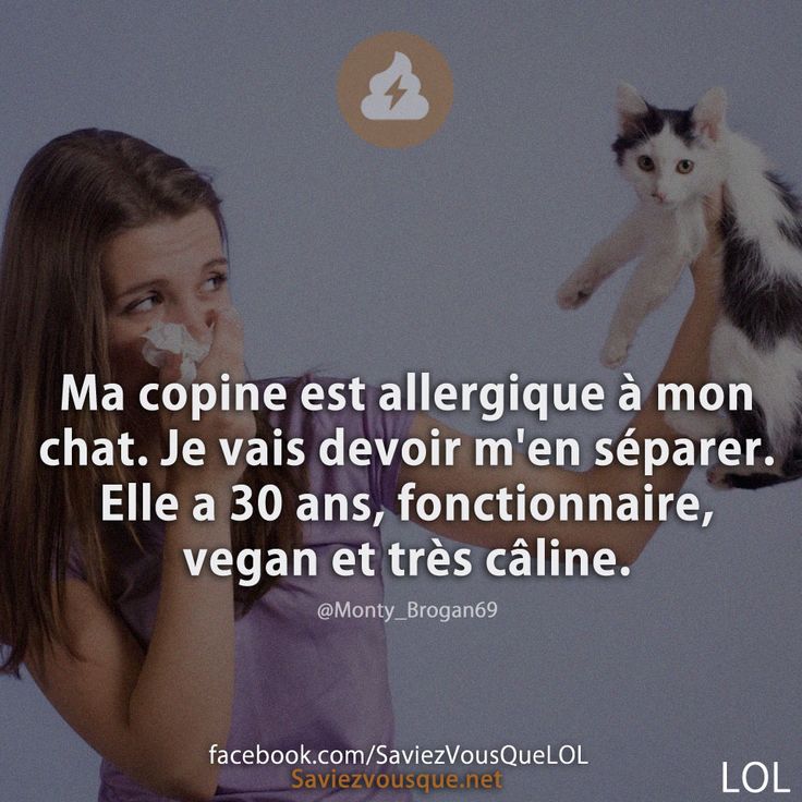 Ma copine est allergique à mon chat. Je vais devoir m&#039;en séparer.  Elle a 30 ans, fonctionnaire, vegan et très câline.