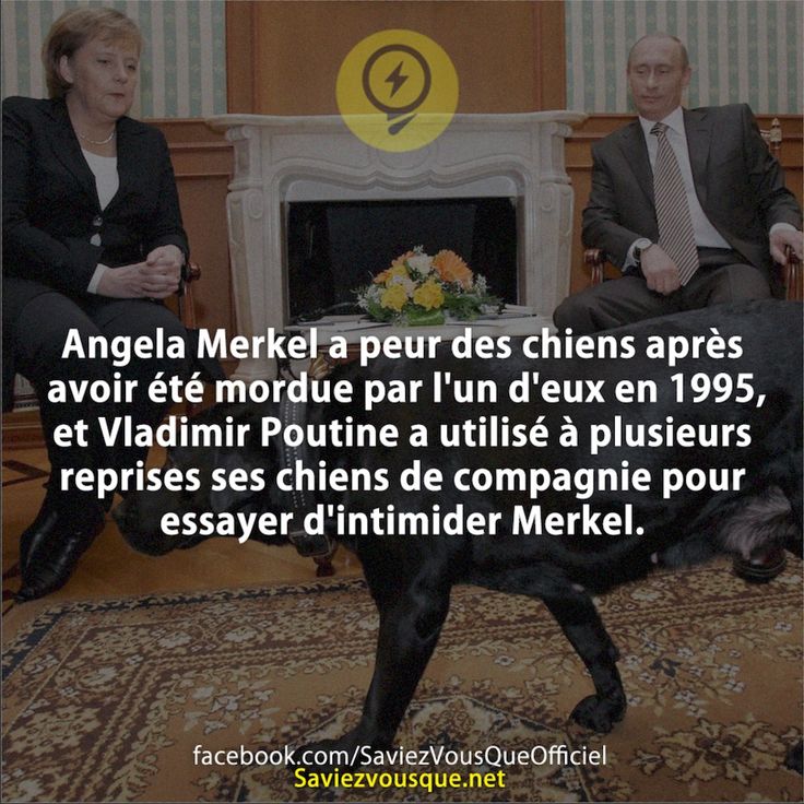 Angela Merkel a peur des chiens après avoir été mordue par l&#039;un d&#039;eux en 1995, et Vladimir Poutine a utilisé à plusieurs reprises ses chiens de compagnie pour essayer d&#039;intimider Merkel.