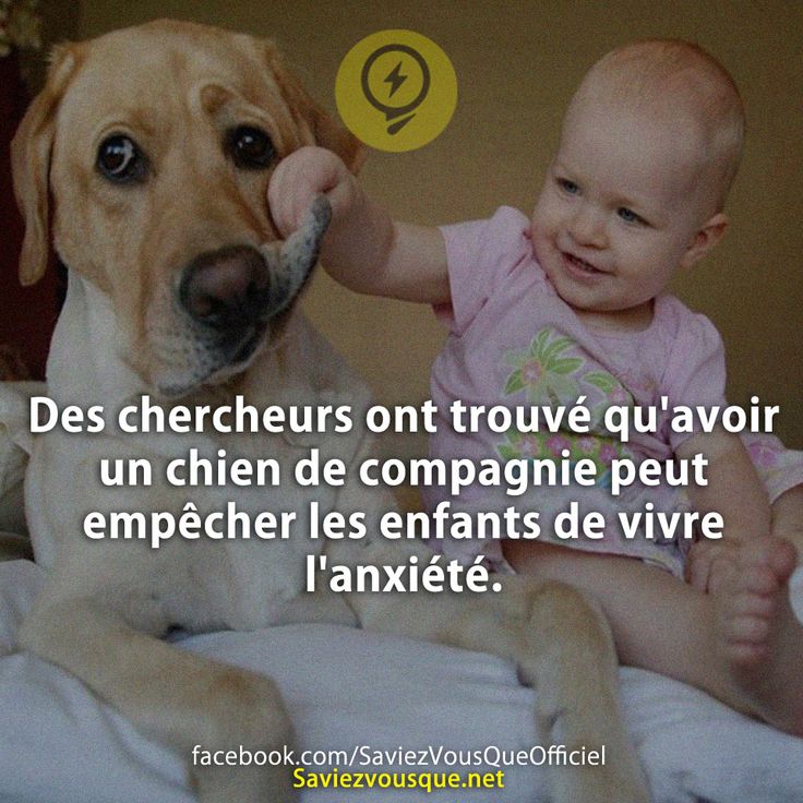 Des chercheurs ont trouvé qu'avoir un chien de compagnie peut empêcher les enfants de vivre l'anxiété.