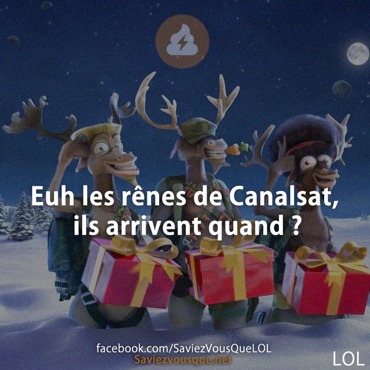 Euh les rênnes de Canalsat, ils arrivent quand ?