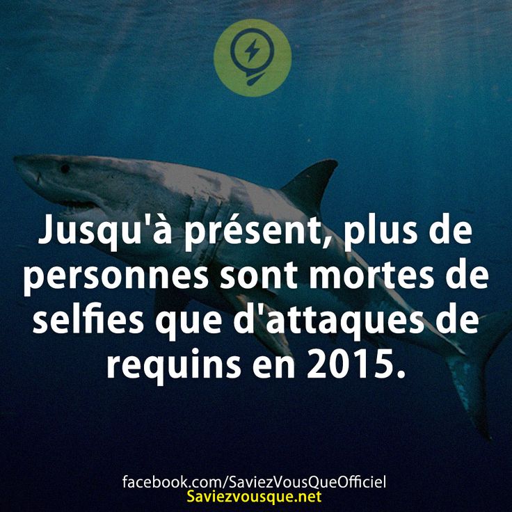 Jusqu&#039;à présent, plus de personnes sont mortes de selfies que d&#039;attaques de requins en 2015.