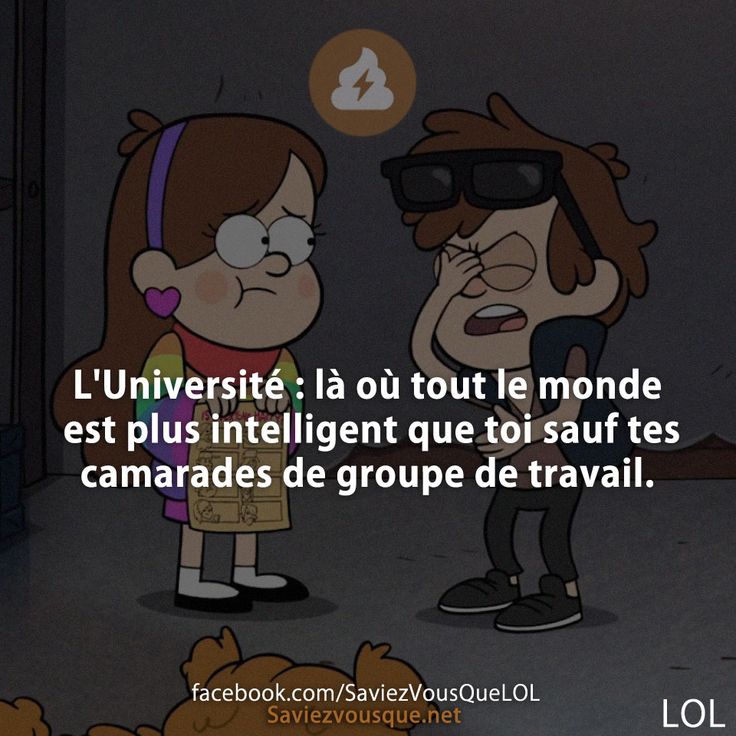 L'Université : là où tout le monde est plus intelligent que toi sauf tes camarades de groupe de travail.