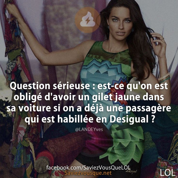 Question sérieuse : est-ce qu&#039;on est obligé d&#039;avoir un gilet jaune dans sa voiture si on a déjà une passagère qui est habillée en Desigual ?