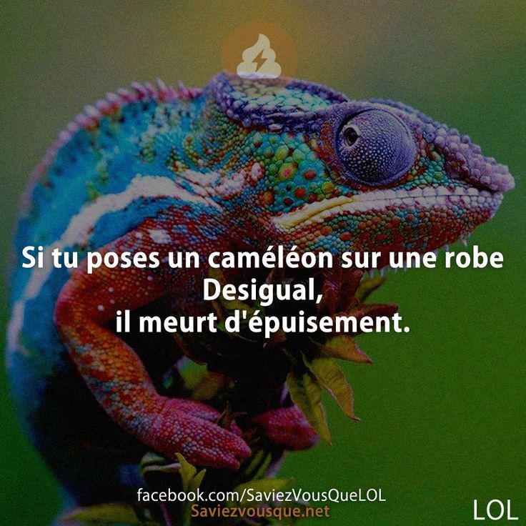 Si tu poses un caméléon sur une robe Desiqual, il meurt d&#039;épuisement.