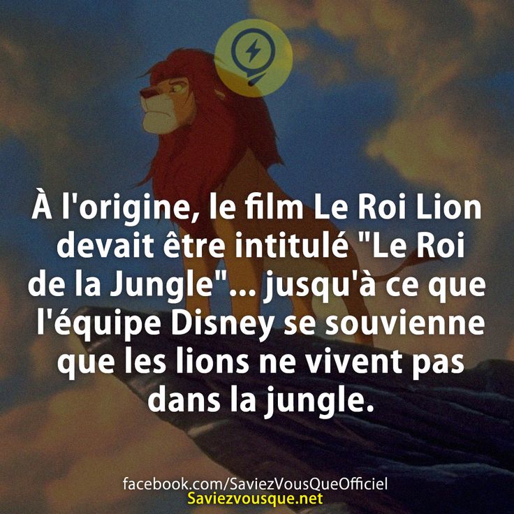 À l&#039;origine, le film Le Roi Lion devait être intitulé &quot;Le Roi de la Jungle&quot;... jusqu&#039;à ce que l&#039;équipe Disney se souvienne que les lions ne vivent pas dans la jungle.