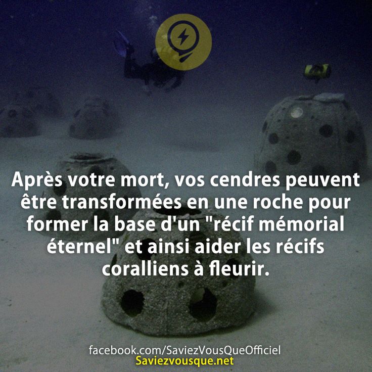 Après votre mort, vos cendres peuvent être transformées en une roche pour former la base d&#039;un &quot;récif mémorial éternel&quot; et ainsi aider les récifs coralliens à fleurir.