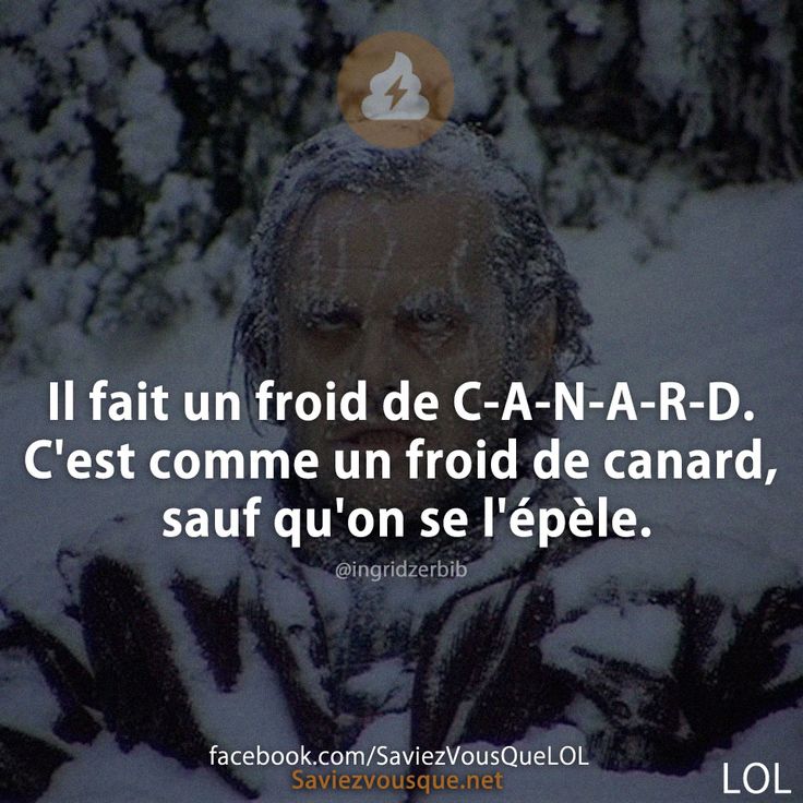 Il fait un froid de C A N A R D. C&#039;est comme un froid de canard, sauf qu&#039;on se l&#039;épèle.