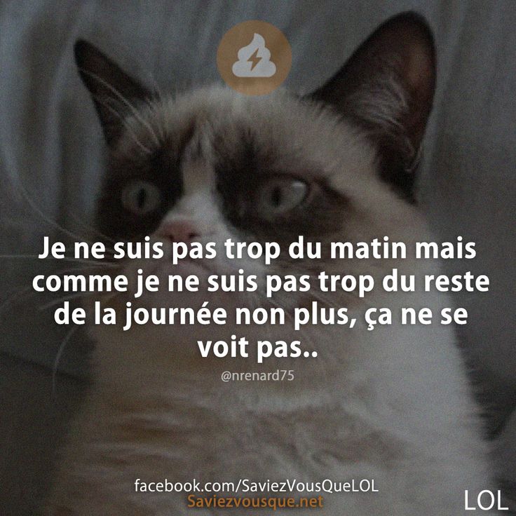 Je ne suis pas trop du matin mais comme je ne suis pas trop du reste de la journée non plus, ça ne se voit pas..