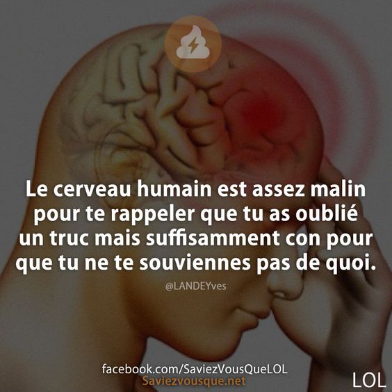 Le cerveau humain est assez malin pour te rappeler que tu as oublié un truc mais suffisamment con pour que tu ne te souviennes pas de quoi.