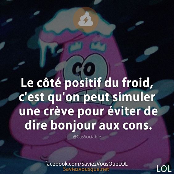 Le côté positif du froid, c&#039;est qu&#039;on peut simuler une crève pour éviter de dire bonjour aux cons.