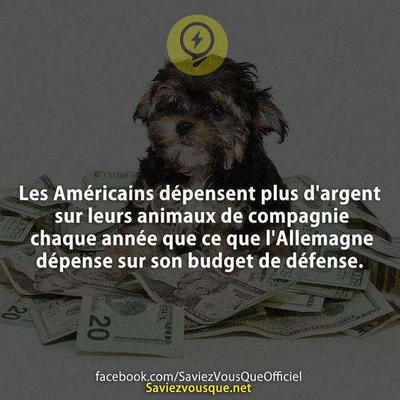 Les Américains dépensent plus d&#039;argent sur leurs animaux de compagnie chaque année que ce que l&#039;Allemagne dépense sur son budget de défense.