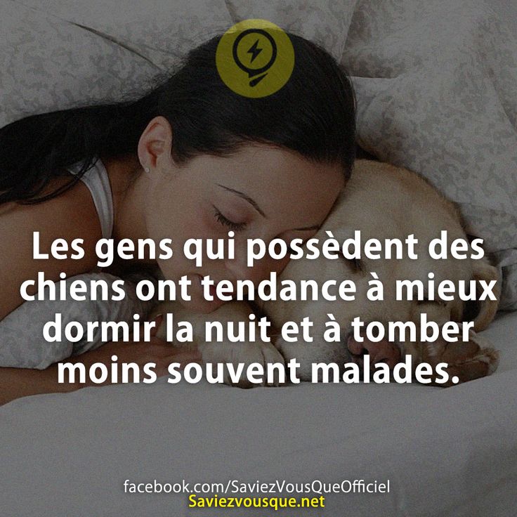 Les gens qui possèdent des chiens ont tendance à mieux dormir la nuit et à tomber moins souvent malades.