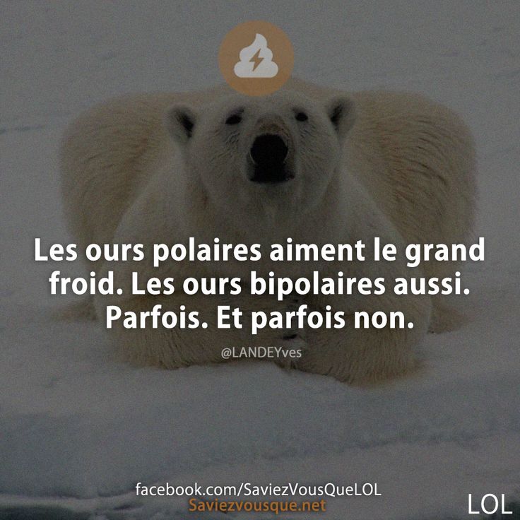 Les ours polaires aiment le grand froid. Les ours bipolaires aussi. Parfois. Et parfois non.