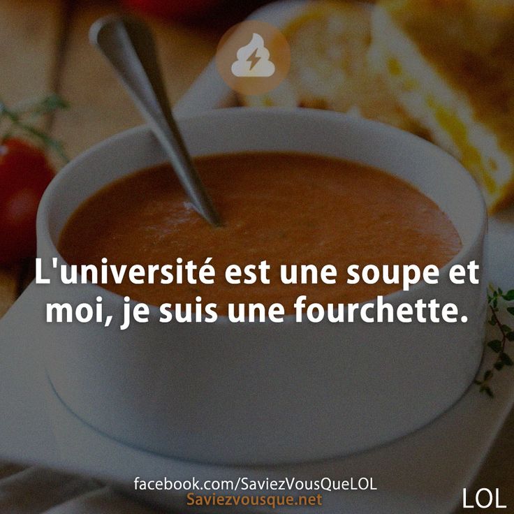 L&#039;université est une soupe et moi, je suis une fourchette.
