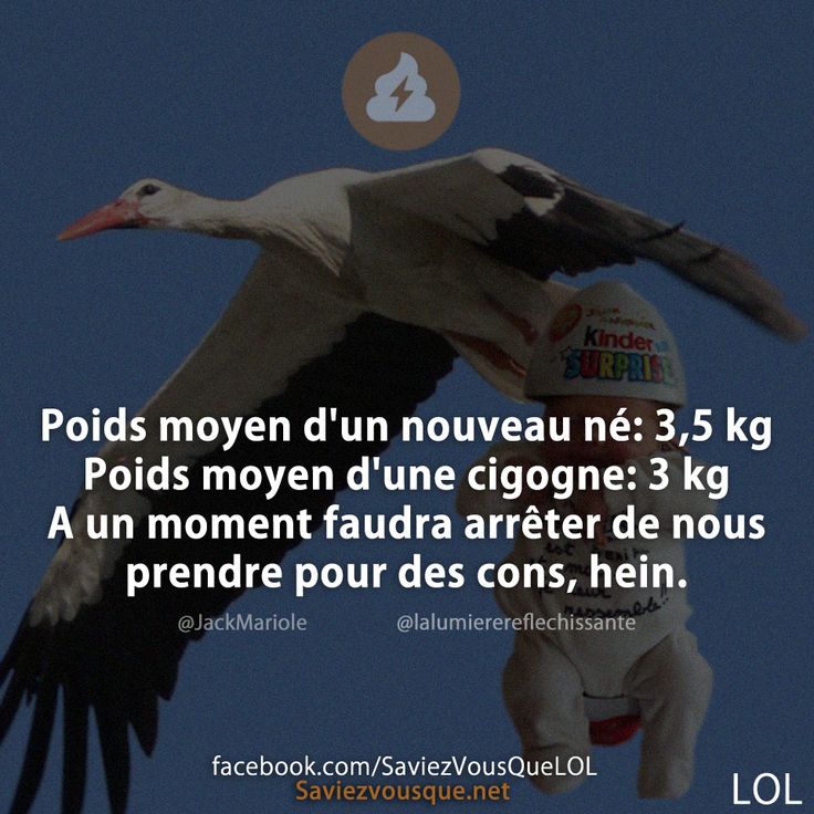 Poids moyen d&#039;un nouveau né: 3,5 kg  Poids moyen d&#039;une cigogne: 3 kg  A un moment faudra arrêter de nous prendre pour des cons, hein.