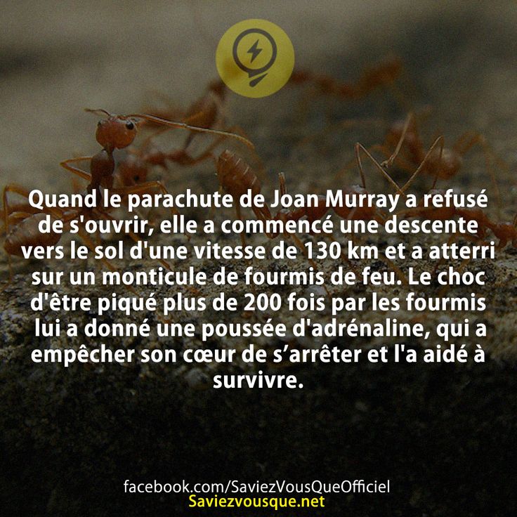 Quand le parachute de Joan Murray a refusé de s&#039;ouvrir, elle a commencé une descente vers le sol d&#039;une vitesse de 130 km et a atterri sur un monticule de fourmis de feu. Le choc d&#039;être piqué plus de 200 fois par les fourmis lui a donné une poussée d&#039;adrénaline, qui a empêcher son cœur de s’arrêter et l&#039;a aidé à survivre.