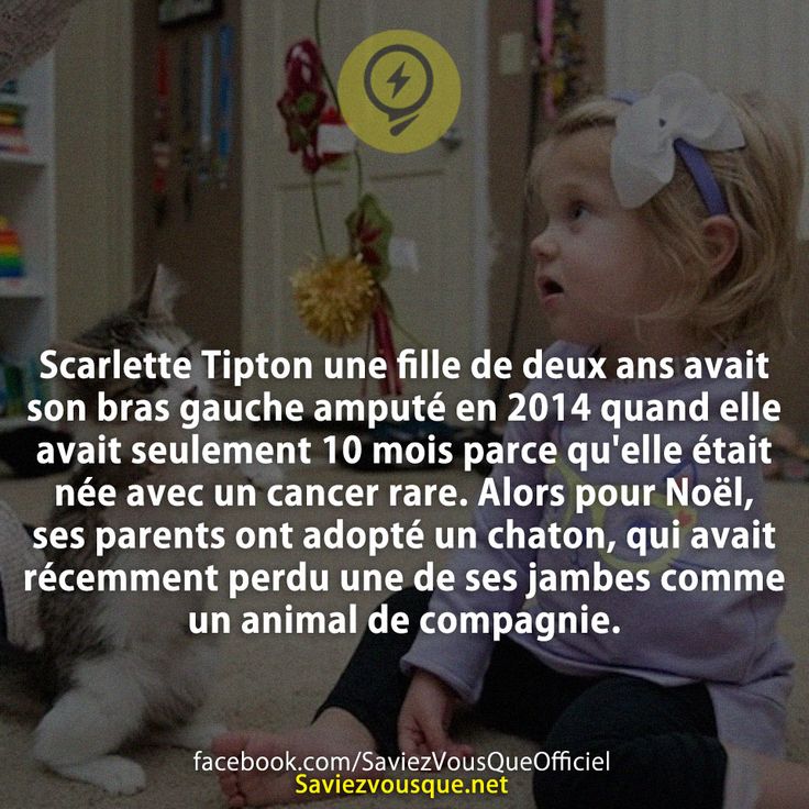 Scarlette Tipton une fille de deux ans avait son bras gauche amputé en 2014 quand elle avait seulement 10 mois parce qu&#039;elle était née avec un cancer rare. Alors pour Noël, ses parents ont adopté un chaton, qui avait récemment perdu une de ses jambes comme un animal de compagnie.