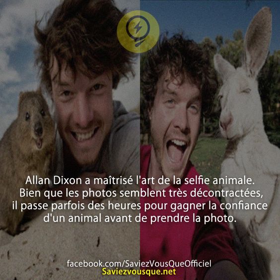 Allan Dixon a maîtrisé l&#039;art de la selfie animale. Bien que les photos semblent très décontractées, il passe parfois des heures pour gagner la confiance d&#039;un animal avant de prendre la photo.