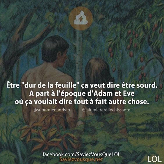 Être &quot;dur de la feuille&quot; ça veut dire être sourd. A part à l&#039;époque d&#039;Adam et Eve où ça voulait dire tout à fait autre chose.