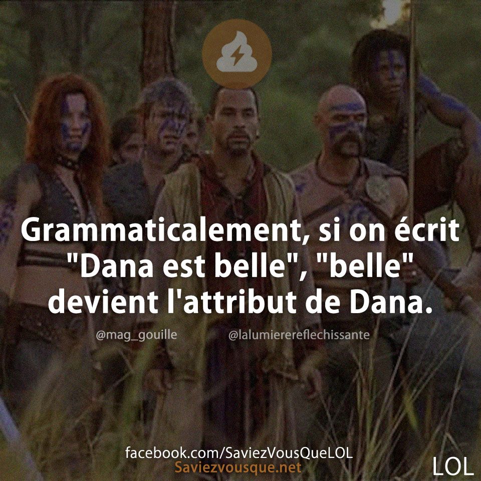 Grammaticalement, si on écrit &quot;Dana est belle&quot;, &quot;belle&quot; devient l&#039;attribut de Dana.