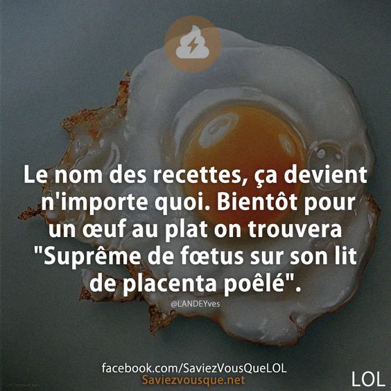 Le nom des recettes, ça devient n&#039;importe quoi. Bientôt pour un œuf au plat on trouvera &quot;Suprême de fœtus sur son lit de placenta poêlé&quot;.