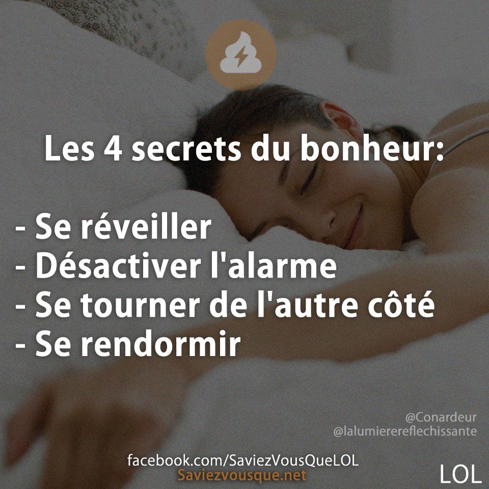 Les 4 secrets du bonheur: - Se réveiller - Désactiver l&#039;alarme - Se tourner de l&#039;autre côté - Se rendormir