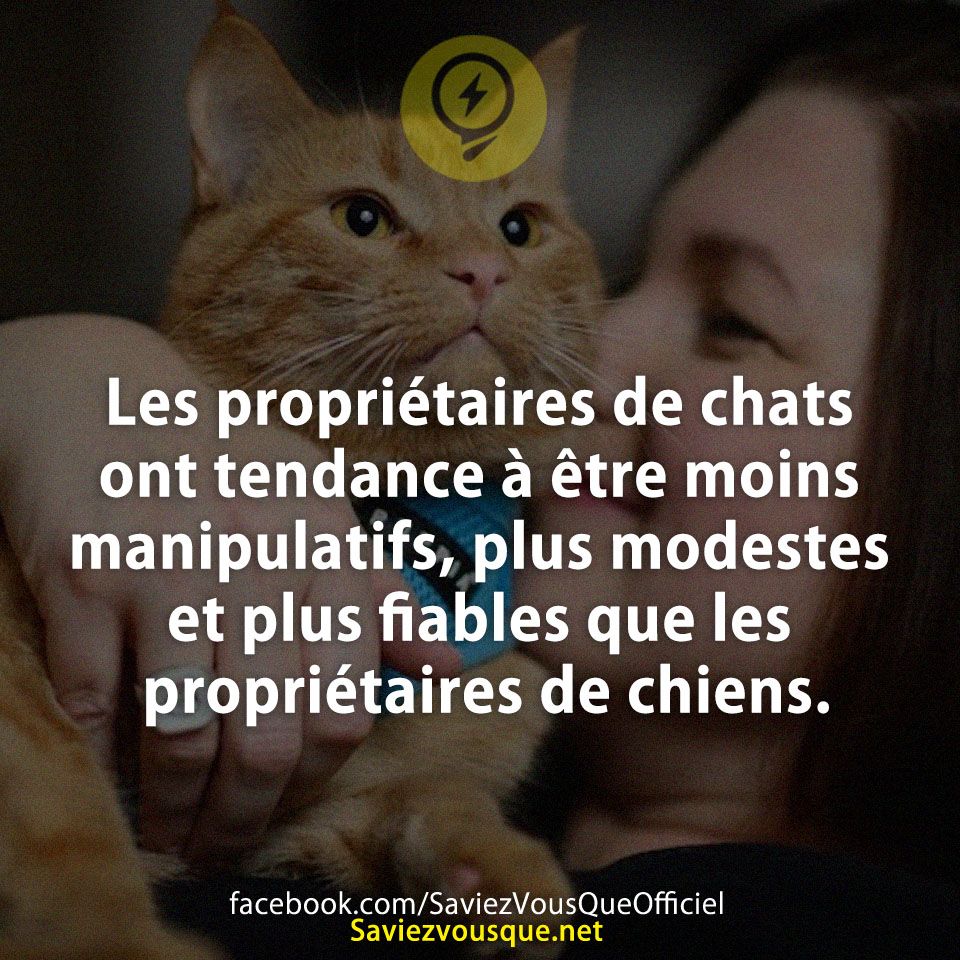 Les propriétaires de chats ont tendance à être moins manipulatifs, plus modestes et plus fiables que les propriétaires de chiens.