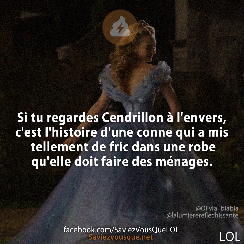 Si tu regardes Cendrillon à l'envers, c'est l'histoire d'une conne qui a mis tellement de fric dans une robe qu'elle doit faire des ménages.