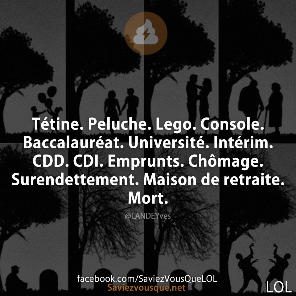 Tétine. Peluche. Lego. Console. Baccalauréat. Université. Intérim. CDD. CDI. Emprunts. Chômage. Surendettement. Maison de retraite. Mort.