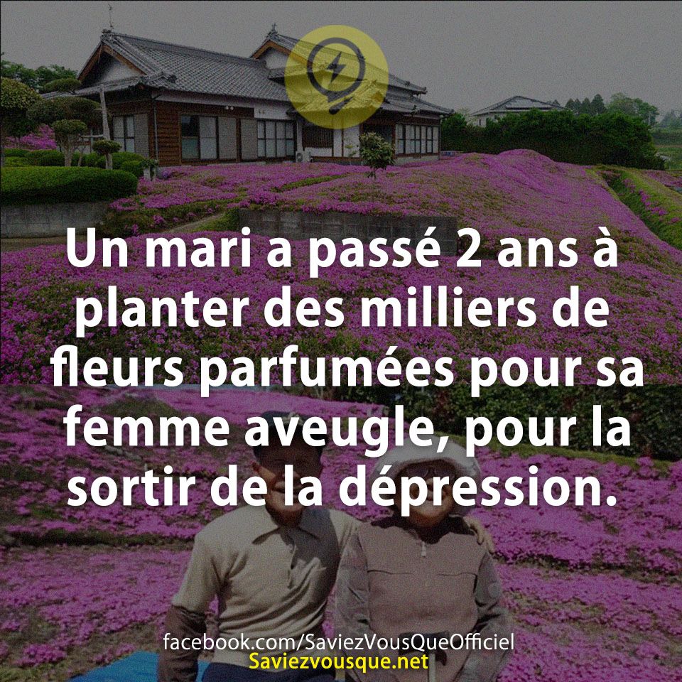 Un mari a passé 2 ans à planter des milliers de fleurs parfumées pour sa femme aveugle, pour la sortir de la dépression.