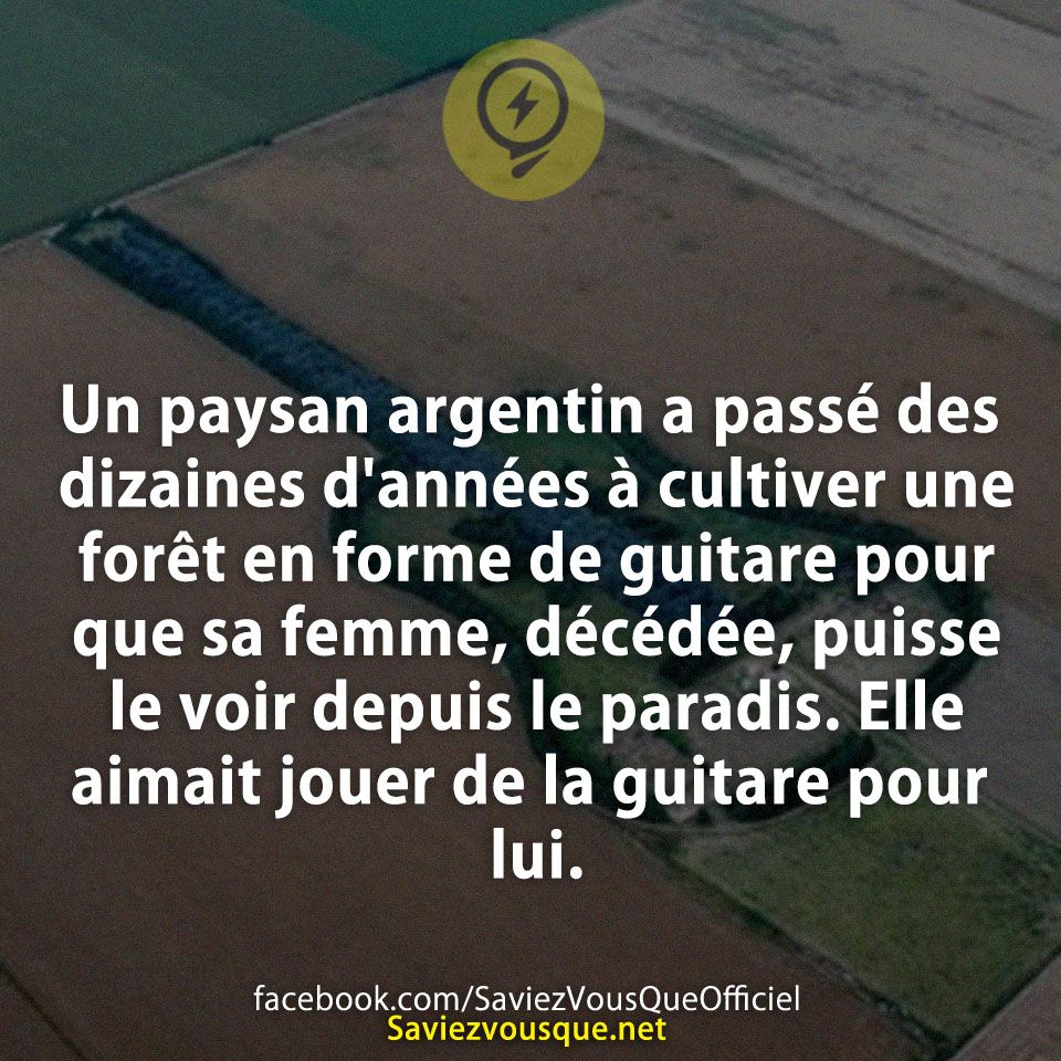 Un paysan argentin a passé des dizaines d&#039;années à cultiver une forêt en forme de guitare pour que sa femme, décédée, puisse le voir depuis le paradis. Elle aimait jouer de la guitare pour lui.