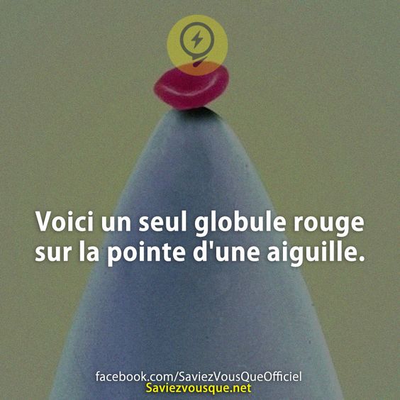 Voici un seul globule rouge sur la pointe d&#039;une aiguille.