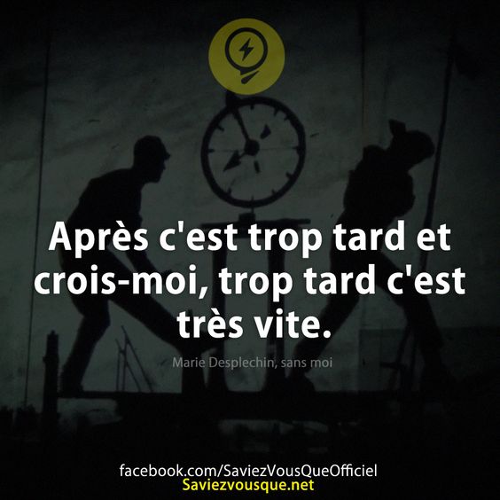 Après c&#039;est trop tard et crois-moi, trop tard c&#039;est très vite.   Marie Desplechin, sans moi