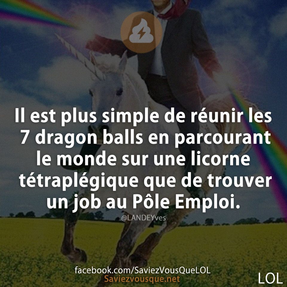Il est plus simple de réunir les 7 dragon balls en parcourant le monde sur une licorne tétraplégique que de trouver un job au Pôle Emploi.