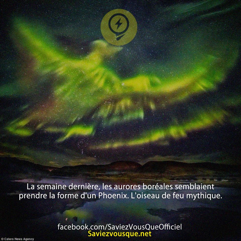 La semaine dernière, les aurores boréales semblaient prendre la forme d&#039;un Phoenix. L&#039;oiseau de feu mythique.