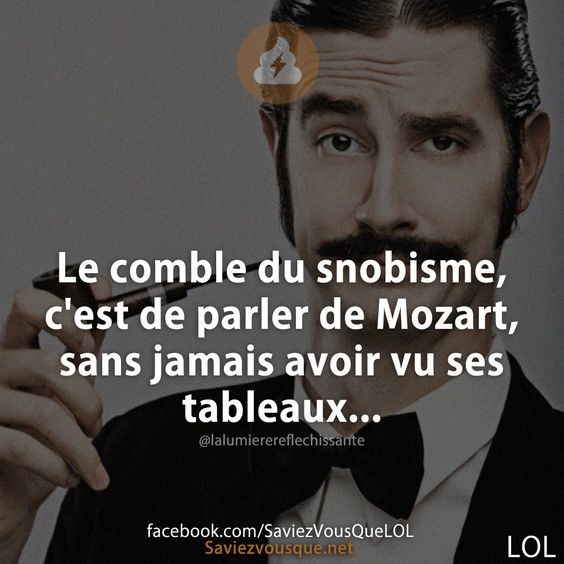Le comble du snobisme, c&#039;est de parler de Mozart, sans jamais avoir vu ses tableaux...