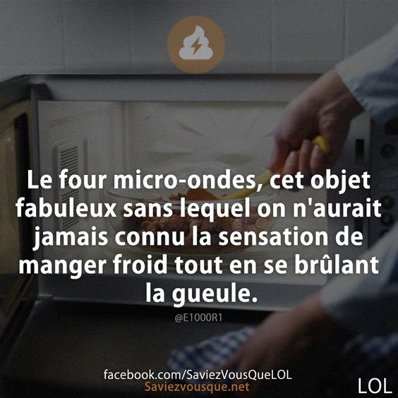 Le four micro-ondes, cet objet fabuleux sans lequel on n&#039;aurait jamais connu la sensation de manger froid tout en se brûlant la gueule.