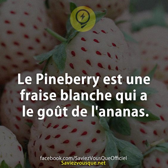 Le Pineberry est une fraise blanche qui a le goût de l&#039;ananas.