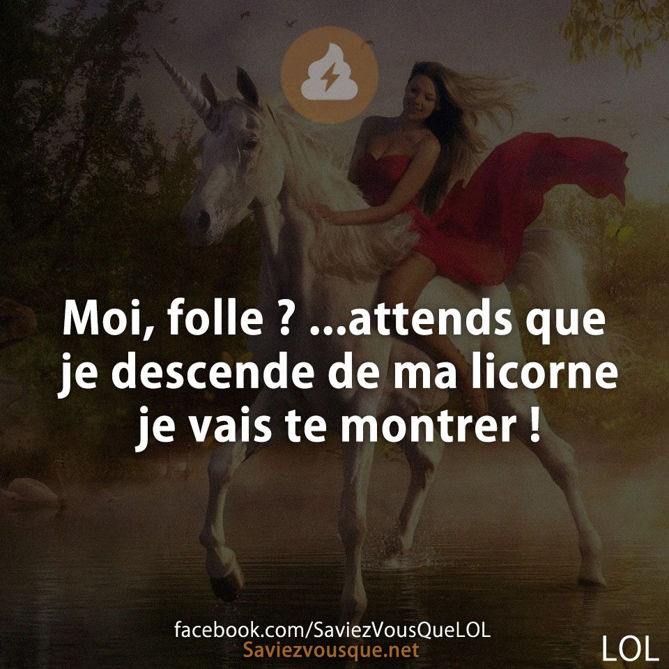 Moi, folle ? ...attends que je descende de ma licorne je vais te montrer !