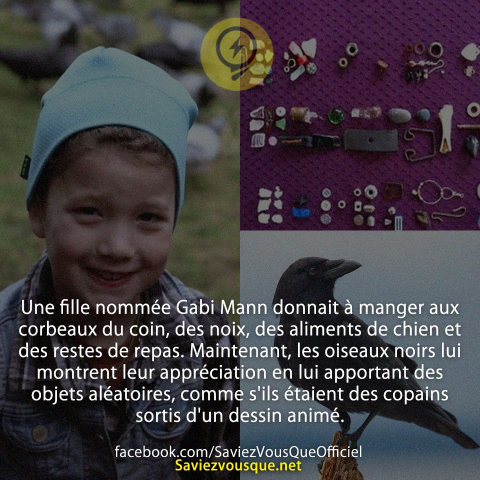 Une fille nommée Gabi Mann donnait à manger aux corbeaux du coin, des noix, des aliments de chien et des restes de repas. Maintenant, les oiseaux noirs lui montrent leur appréciation en lui apportant des objets aléatoires, comme s&#039;ils étaient des copains sortis d&#039;un dessin animé.