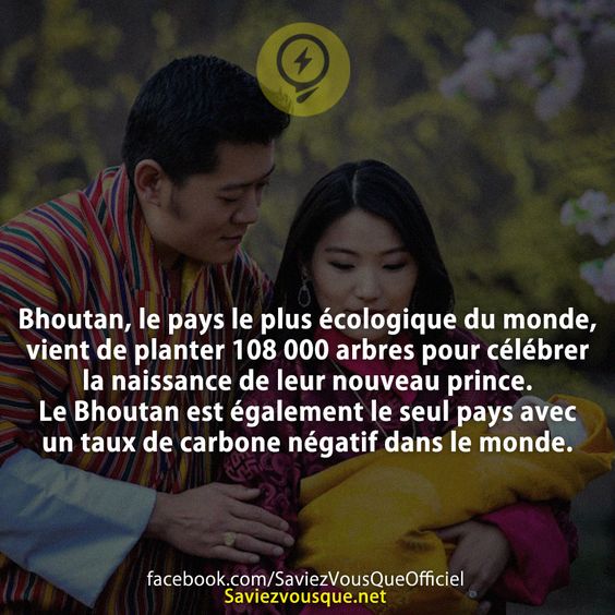 Bhoutan, le pays le plus écologique du monde, vient de planter 108 000 arbres pour célébrer la naissance de leur nouveau prince. Le Bhoutan est également le seul pays avec un taux de carbone négatif dans le monde.