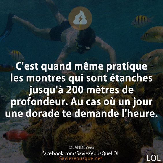 C&#039;est quand même pratique les montres qui sont étanches jusqu&#039;à 200 mètres de profondeur. Au cas où un jour une dorade te demande l&#039;heure.