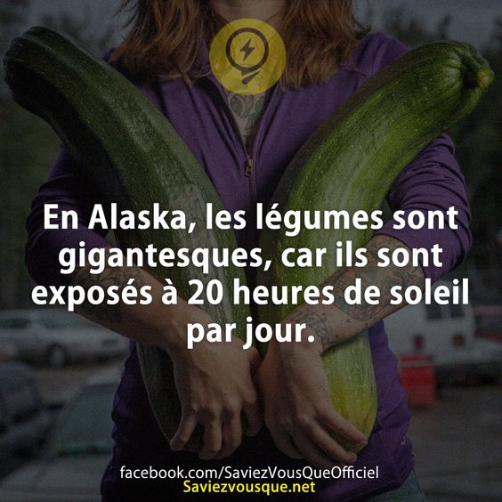 En Alaska, les légumes sont gigantesques, car ils sont exposés à 20 heures de soleil par jour.