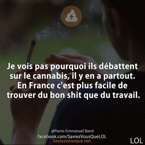 Je vois pas pourquoi ils débattent sur le cannabis, il y en a partout. En France c&#039;est plus facile de trouver du bon shit que du travail.