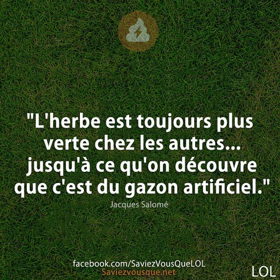 &quot;L&#039;herbe est toujours plus verte chez les autres... jusqu&#039;à ce qu&#039;on découvre que c&#039;est du gazon artificiel.&quot;