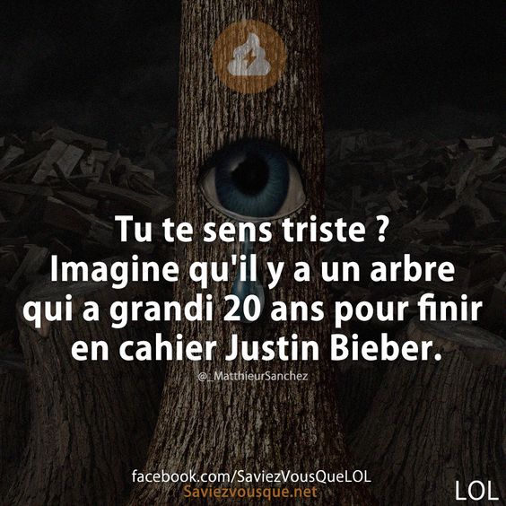 Tu te sens triste ? Imagine qu&#039;il y a un arbre qui a grandi 20 ans pour finir en cahier Justin Bieber.