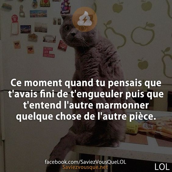Ce moment quand tu pensais que t'avais fini de t'engueuler puis que t'entend l'autre marmonner quelque chose de l'autre pièce.