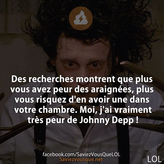 Des recherches montrent que plus vous avez peur des araignées, plus vous risquez d&#039;en avoir une dans votre chambre. Moi, j&#039;ai vraiment très peur de Johnny Depp !