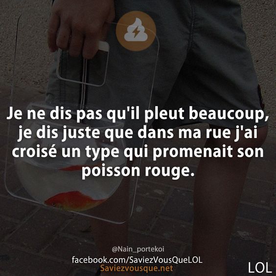 Je ne dis pas qu&#039;il pleut beaucoup, je dis juste que dans ma rue j&#039;ai croisé un type qui promenait son poisson rouge.